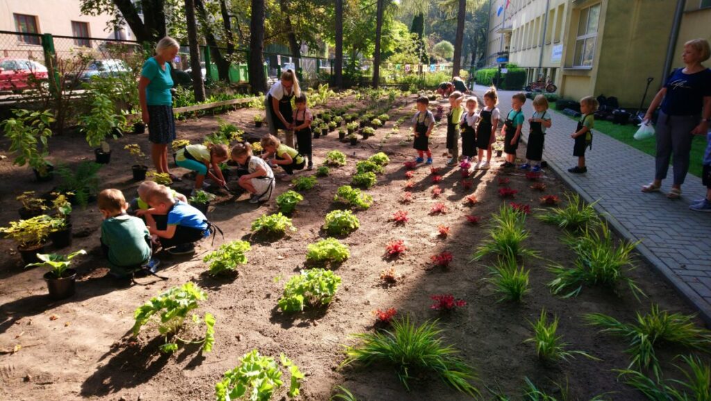 Zielony Dzień w SP 106 – nasada bioróżnorodnych rabat w ramach projektu „Ogród z klasą”.