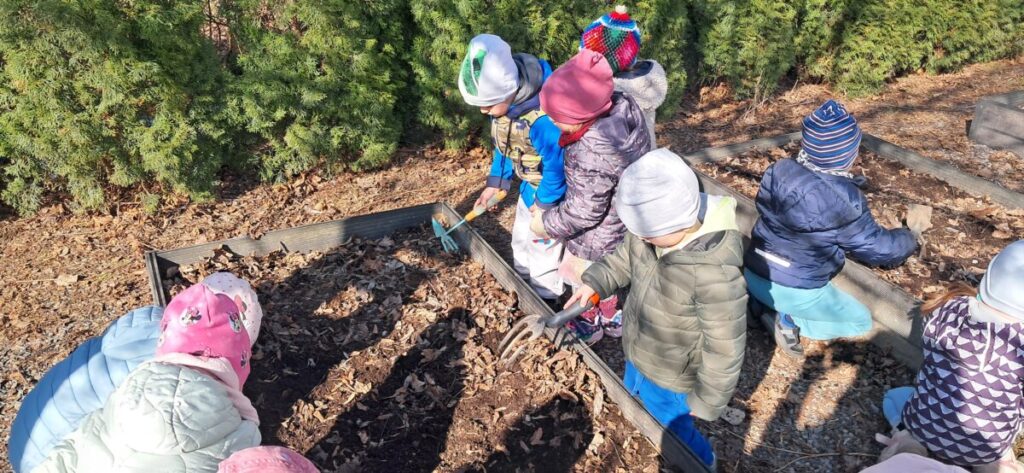 Wiosenne porządki w ogródku warzywnym